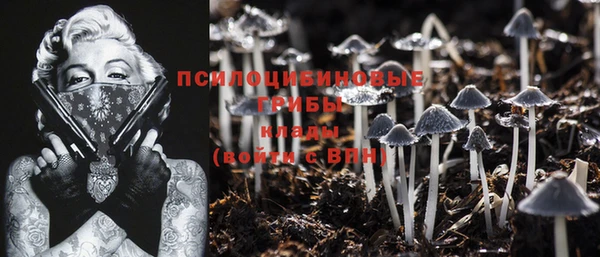 MDMA Premium VHQ Верхний Тагил