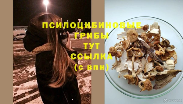 гидропоника Верея