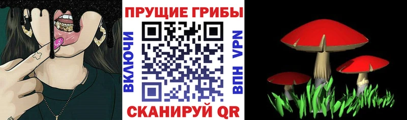 гидра ссылки  Голицыно  Галлюциногенные грибы Magic Shrooms  цена  